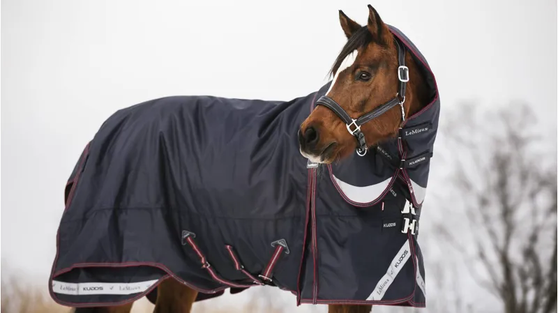 LeMieux Kudos Turnout Rug 200g in Navy-1